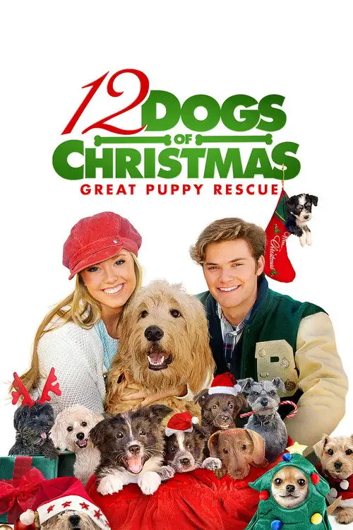 12 Rojdestvo itlari 2 / Rojdestoning 12 iti 2 / Yangi yilning 12 itlari 2 Amerika Filmi 2012 (Uzbek tilida)